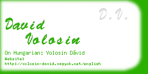 david volosin business card